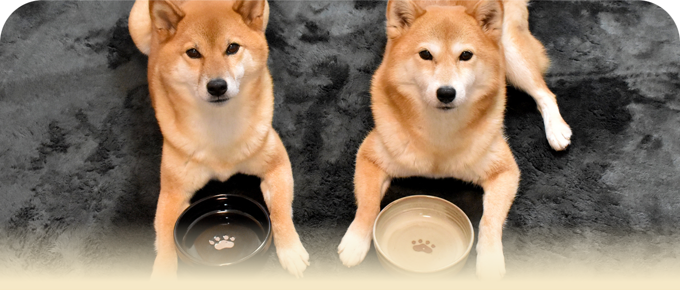 ラインナップのおかわりしば犬