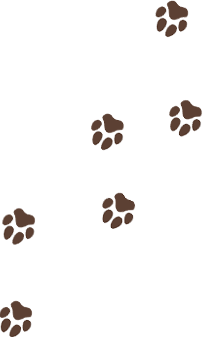 犬の足跡